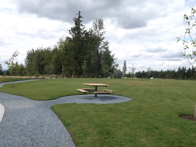 wood picnic table.jpg